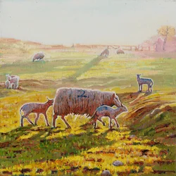 Plotselinge straling, 2012